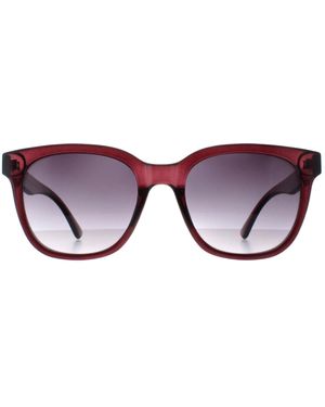 Smarty Square Transparent Casis X2121 - Brown