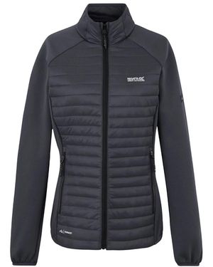 Regatta Ladies Clumber Hybrid Jacket (Seal) - Blue