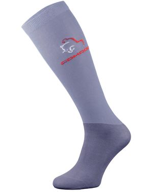 Comodo 1 Pack Ladies Microfibre Knee High Horse Riding Equestrian Socks - Purple