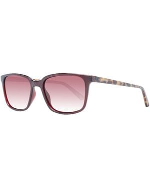 Ted Baker Sunglasses Tb1529 249 53 - Purple