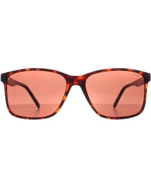 Barbour Rectangle Havana 3014 - Brown