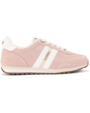 Carvela Kurt Geiger Mio Trainers - Pink