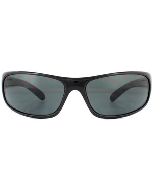 Bollé Sunglasses Anaconda 10339 Shiny Tns - Grey