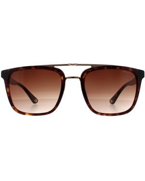 Police Square Havana And Gradient Splb41 Origins 35 - Brown