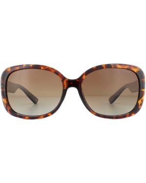 Polaroid Butterfly Havana Gradient Polarized Sunglasses - Brown