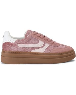 Steve Madden Suede Dodge Trainers - Pink