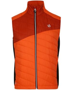 Dare 2b Touring Gewatteerd Lichtgewicht Gilet (puffins Sinaasappel/rooibosthee) - Oranje