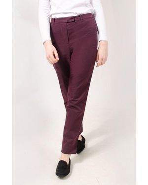Secret Label Straight Leg Chino Trousers - Purple