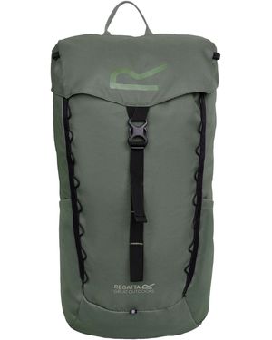 Regatta Survivor V 20L Backpack (Four Leaf Clover) - Green