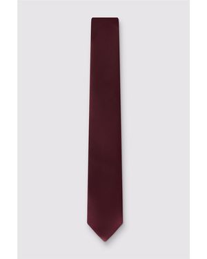 Limehaus Plain Tie - Purple