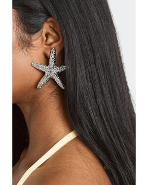 Boohoo Statement Starfish Earrings - Black