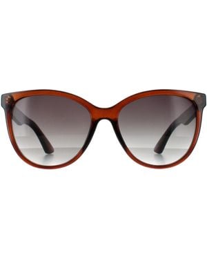 Smarty Round Transparent Sb2312 - Brown