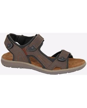 Roamer Freedom - Brown