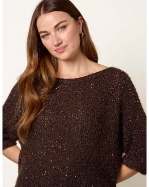 Blue Vanilla Sequin Feather Jumper - Brown
