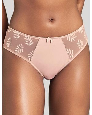 Panache Tango Brief - Pink