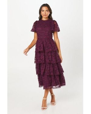 Coast Tiered Lace Dress With Flutter Sleeve & Trims