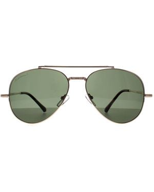 Montana Aviator Shiny G-15 Polarized Mp185 Metal - Green