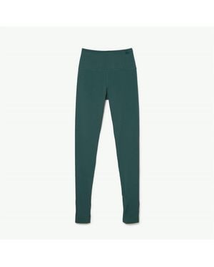 Lacoste Stirrup Leggings - Green