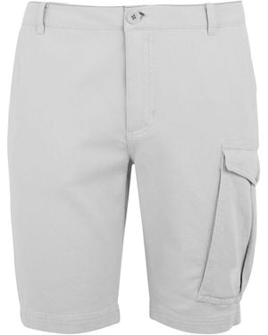 Regatta Bendrick Shorts (Iceberg) - Grey