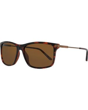 Timberland Tb7177 58 5852E Sunglasses - Brown