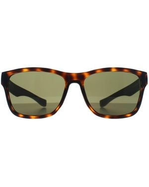 Lacoste Rectangle Havana L737S - Brown