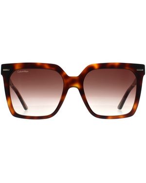Calvin Klein Square Havana Gradient Ck22534S - Brown