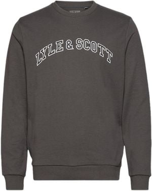 Lyle & Scott Sweatshirts Crew Neck Knitted Winter Pullover - Grey