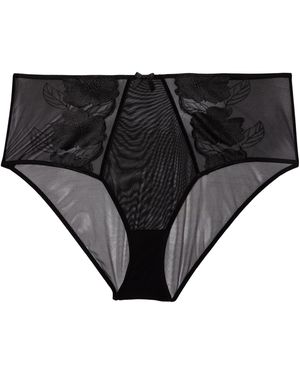 Playful Promises Curve Exclusive Annika Mesh And Embroide High Waisted Brief - Black