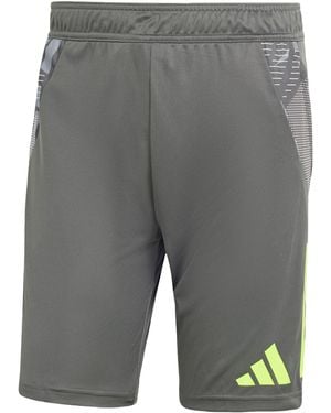 adidas Tiro 24 Competition Training Shorts - Grey