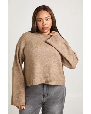Boohoo Plus Crew Neck Jumper - Brown