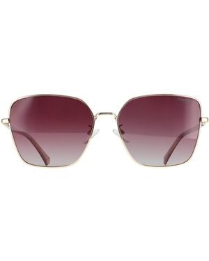 Polaroid Square Burgundy Gradient Polarized Pld 4193/G/S/X Metal - Purple