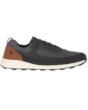 Craghoppers Arneflex Trainers (/ Tan) - Multicolour