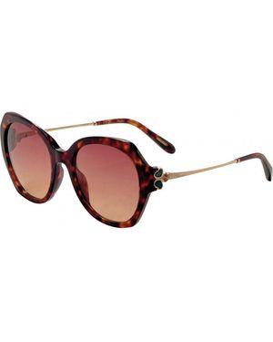 Chopard Sch354V540743 Sch354V 54 0743 Sunglasses - Brown