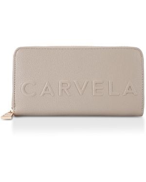 Carvela Kurt Geiger Frame Purse - Grey