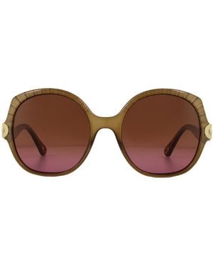 Chloé Chloe Zonnebril Ce749s 210 Bruin Bruin Roze Verloop