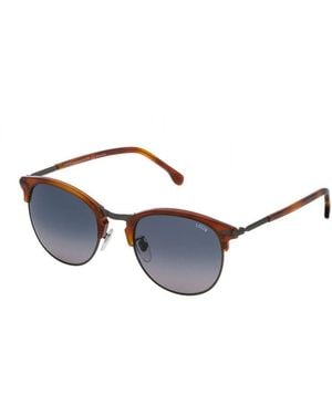 Lozza Brown Acetate Sunglasses - Blue