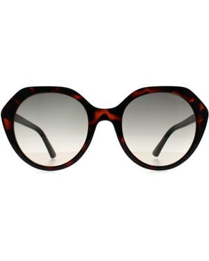 Guess Oval Dark Havana Gradient Gf6201 - Brown