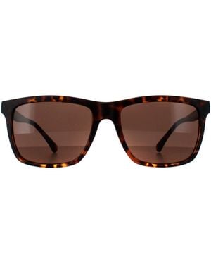 Smarty Square Schildpad Bruin Sb2201
