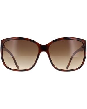 Calvin Klein Cat Eye Havana Gradient Ck20518Sn - Brown