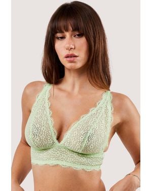 Deja Day Laura Ultimate Comfort Wireless Bra - Green