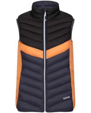Regatta Ladies Harrock Ii Baffled Gilet (Seal/ - Black