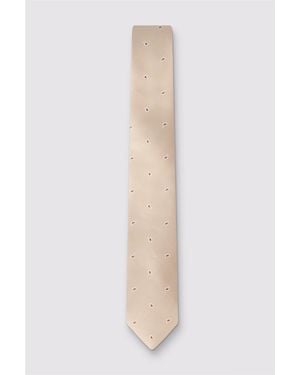 Antique Rogue Paisley Tie - White