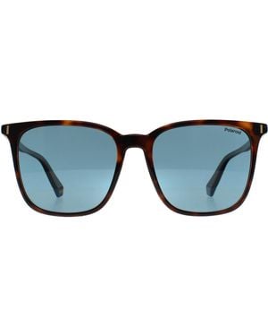 Polaroid Square Havana Polarized Pld 6226/S - Blue