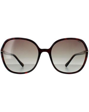INVU Square Warm Demi Tortoise Polarized B2114 - Brown