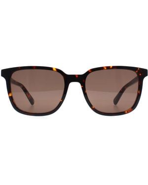 Banana Republic Rectangle Havana Br 4003/S - Brown
