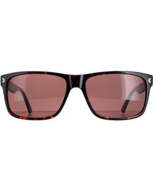 Duck and Cover Sunglasses Dcs026 C2 Havana - Brown