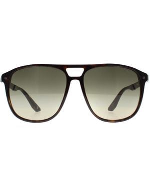 BMW Aviator Dark Havana Gradient Polarized Bw0001 Sunglasses - Brown