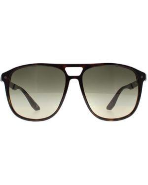 BMW Aviator Dark Havana Gradient Polarized Bw0001 Sunglasses - Brown