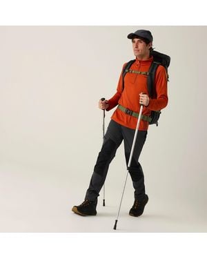 Regatta Questra Hiking Trousers (Ash/ - Grey