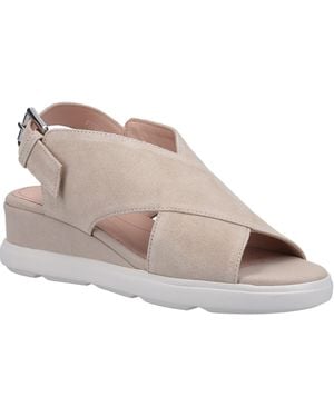 Geox Pisa Leather - Grey